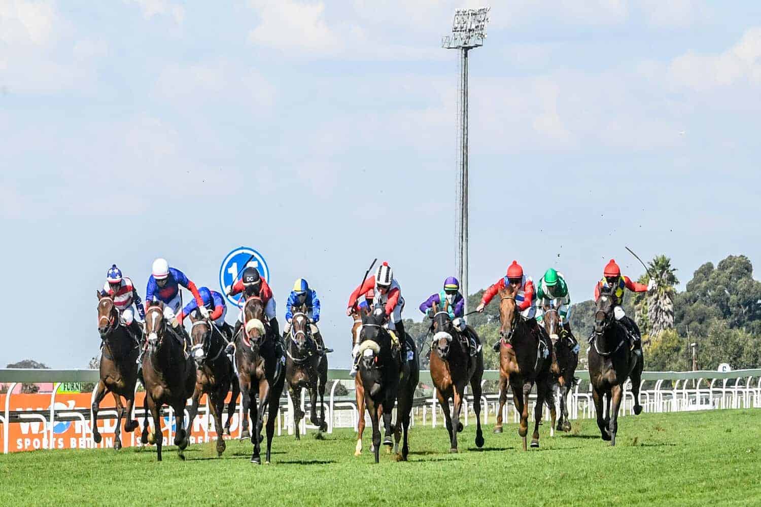 202605Horse-racing-stock-Barrett