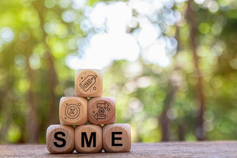 Small and medium-sized enterprises (SMEs) are small and medium-sized businesses operated by individual entrepreneurs, have management independence, and often have low costs and few employees.