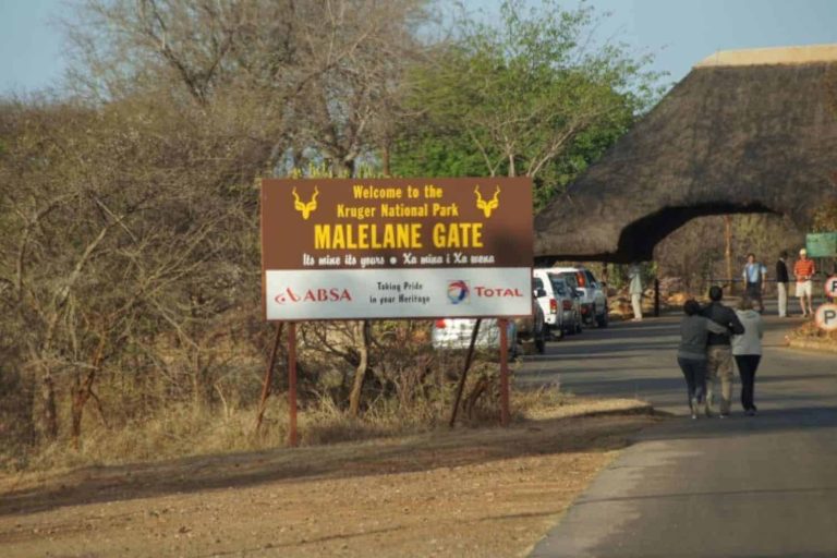 202605Kruger-national-park