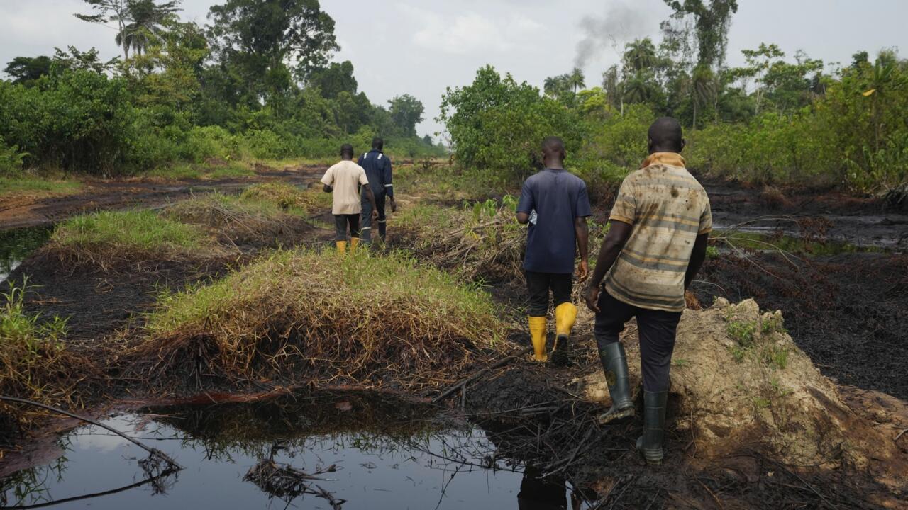 202605Niger-Delta-Cleanup