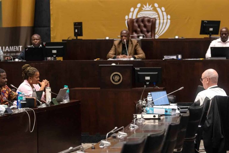 202605Parliament-Mkhwanazi-ad-hoc-committee