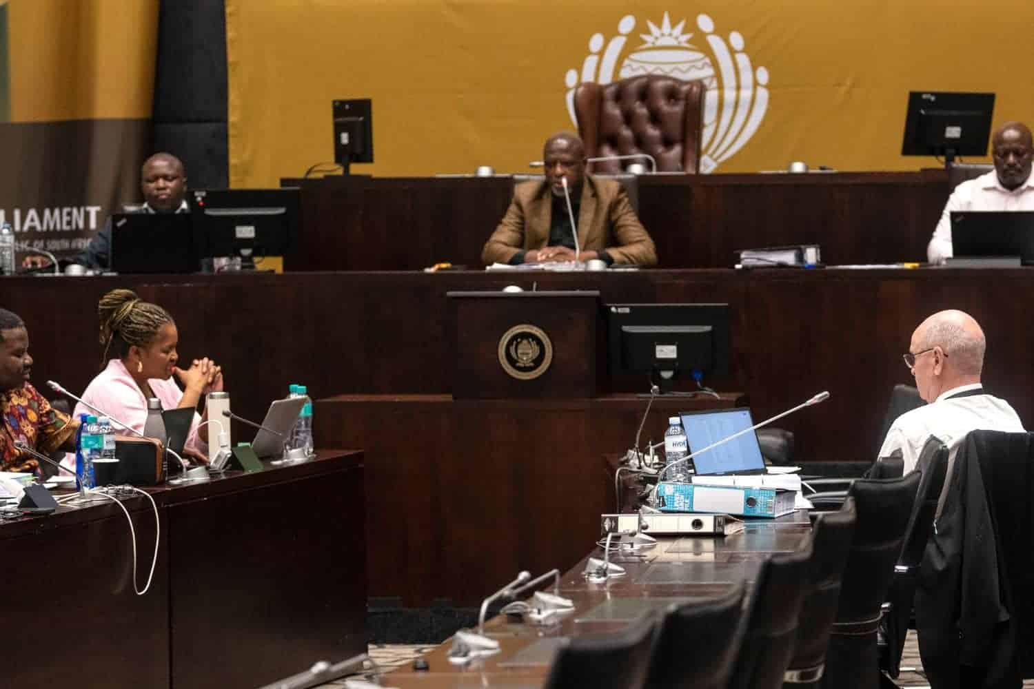 202605Parliament-Mkhwanazi-ad-hoc-committee
