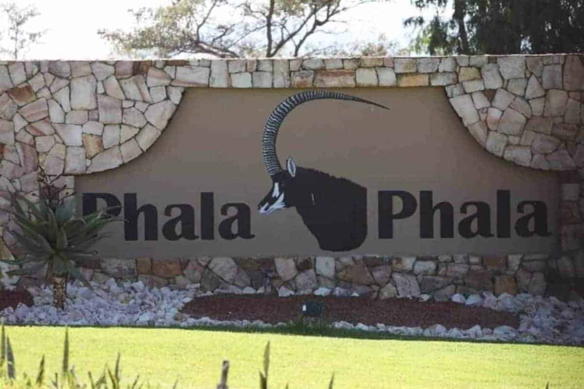 202605Phala-Phala-1200x800-1