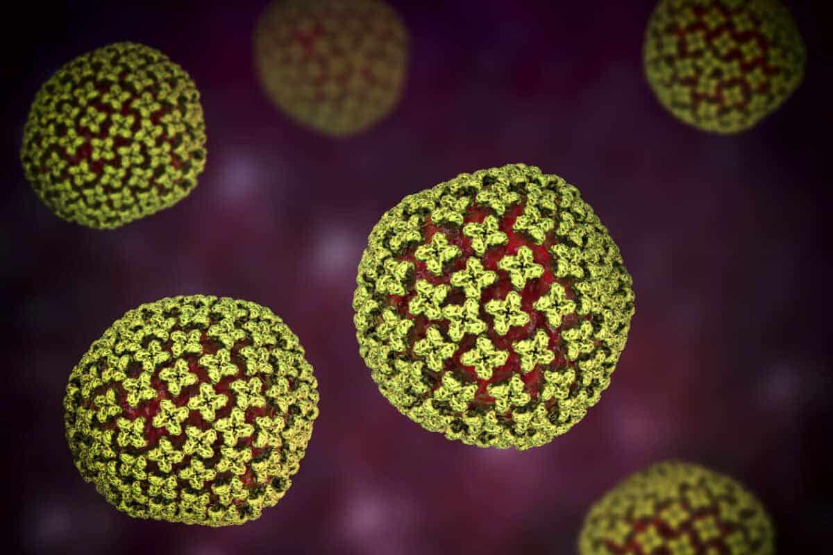 Hantavirus particles, artwork