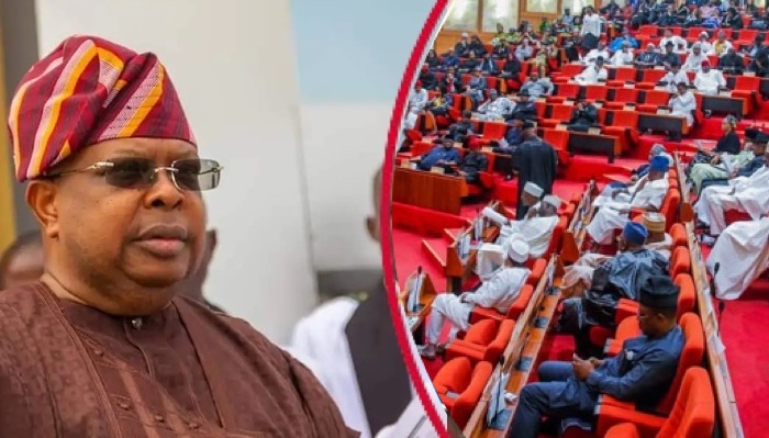 202605Senate-Confirms-Tegbe-As-Power-Minister-Orders-Urgent-Action-On-Nigerias-Persistent-Grid-Collapse