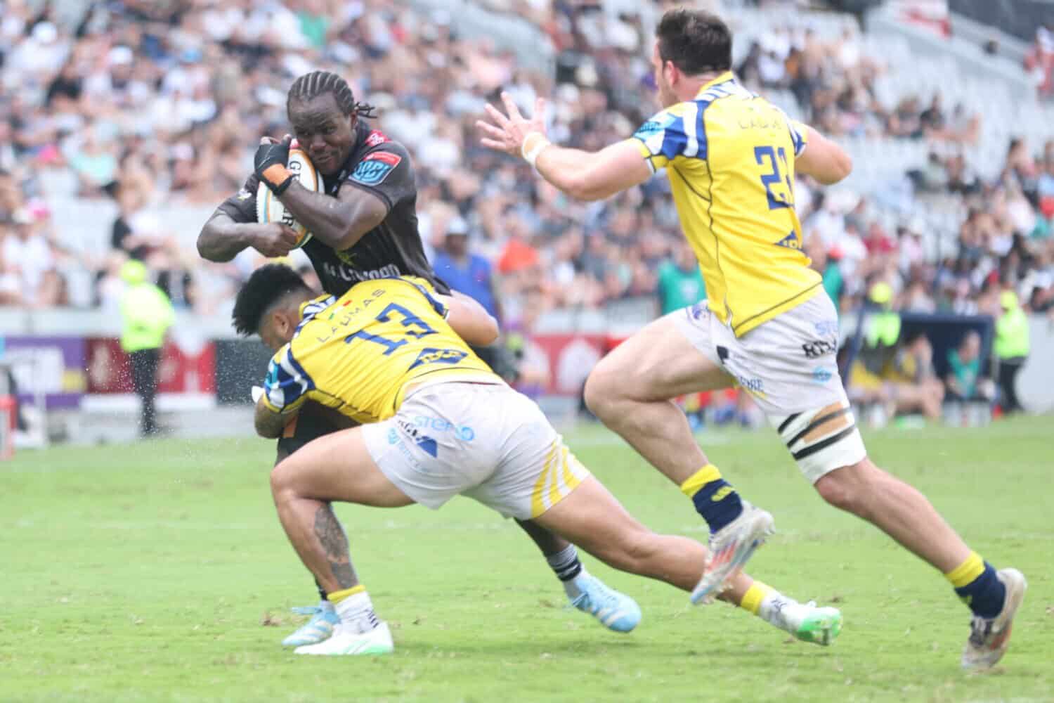 202605Sharks-Zebre