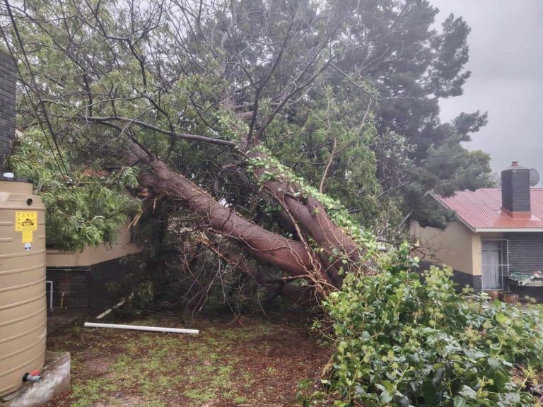 202605South-A-battered-by-eye-of-storm-with-record-rain-and-damage-Knysna