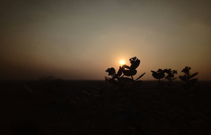 202605Sunrise