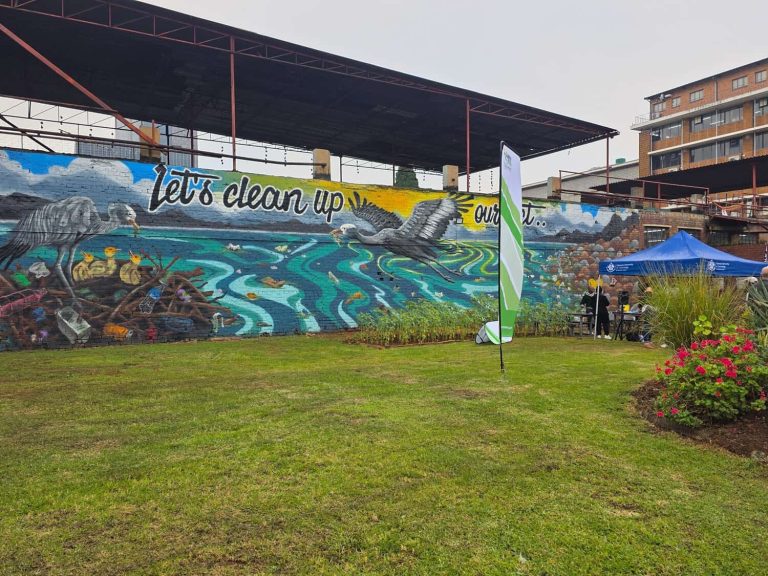 202605TUT-mural-turns-Pretoria-wall-into-water-plea
