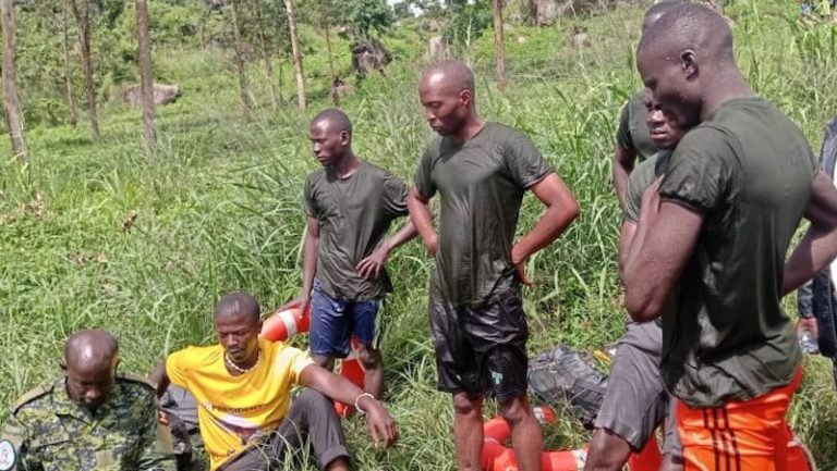 202605UPDF-divers