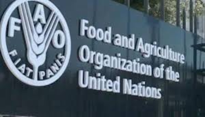 202605United-Nations-Food-and-Agriculture-Organisation-FAO-