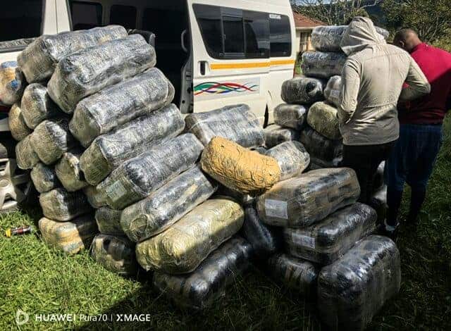 202605dagga-taxi
