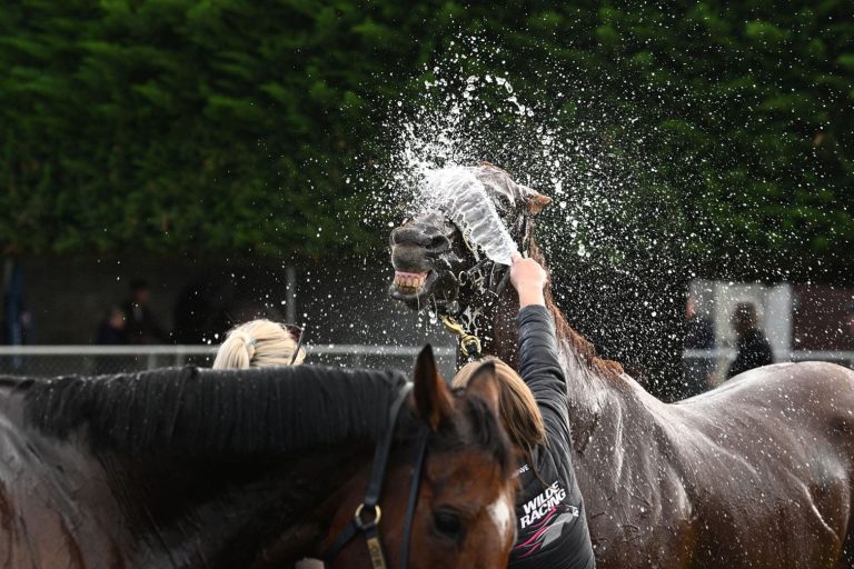 Warrnambool Race Carnival: Brierly Day