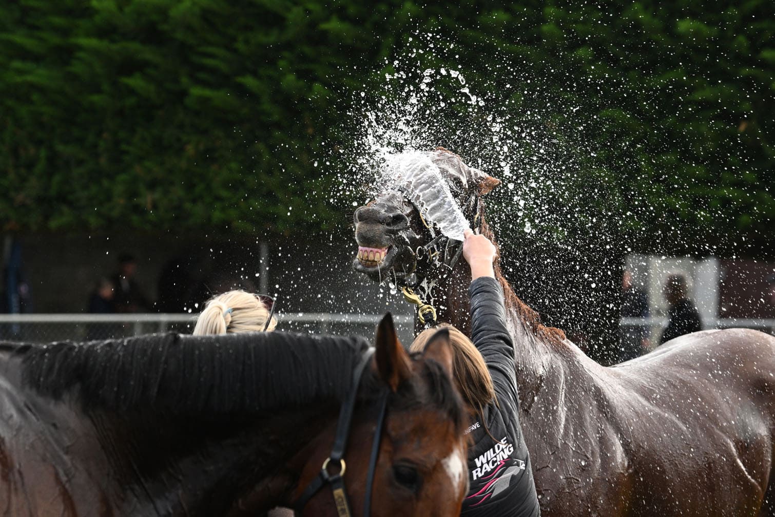 Warrnambool Race Carnival: Brierly Day