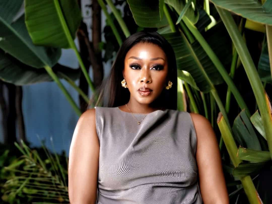 202605lebo-lion-talks-content-creation-as-a-career