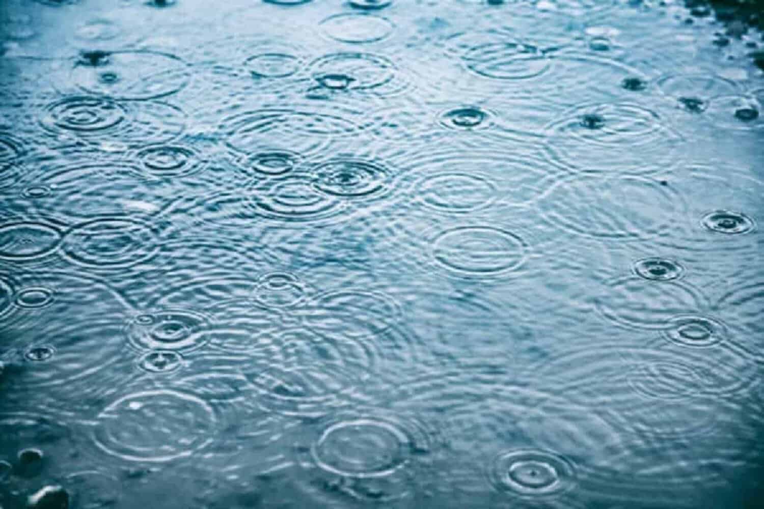 Rain drops on water