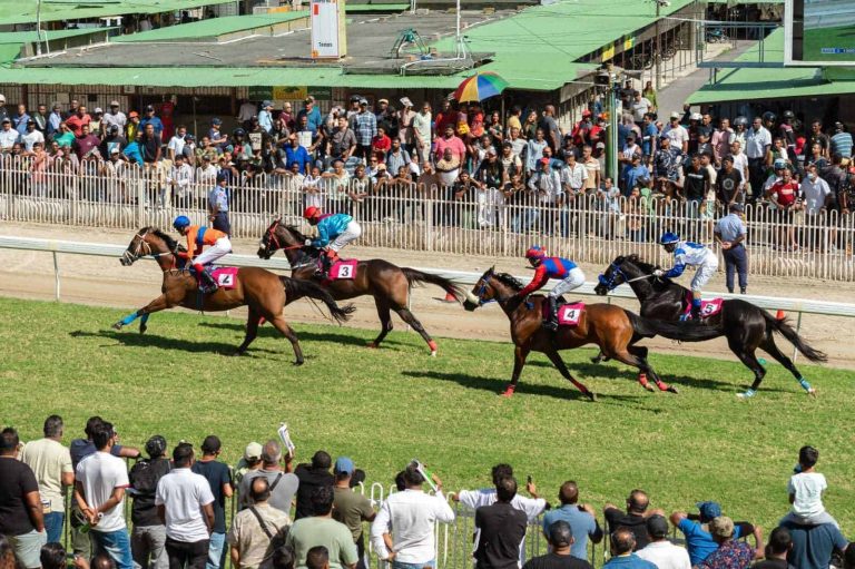 202605mauritius-africa-horse-racing-destination-3
