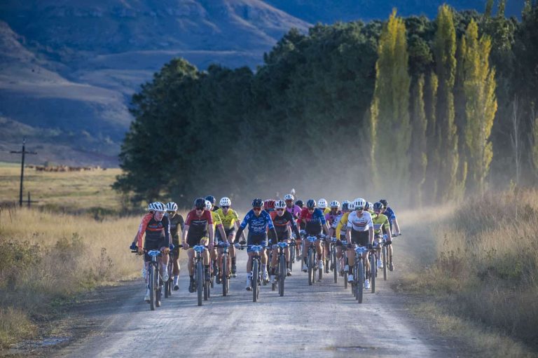202605sani2c-1
