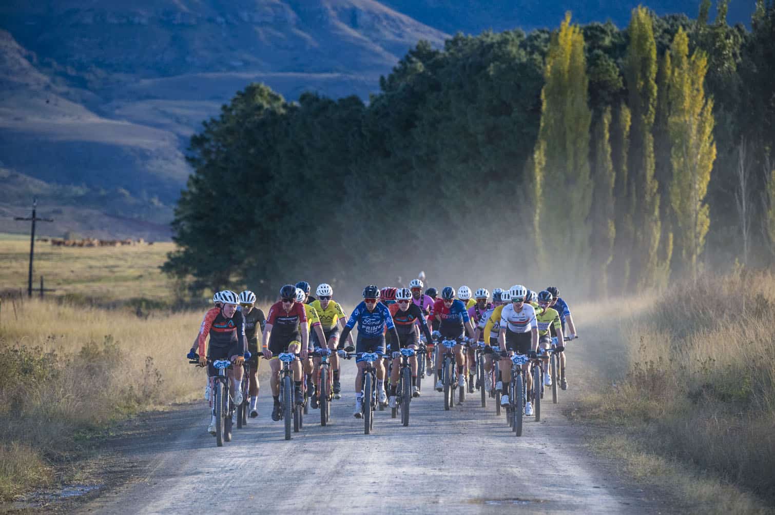 202605sani2c-1