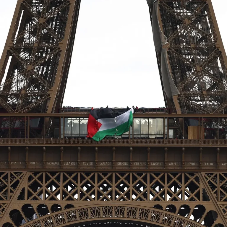 palestine-flag-france