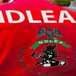 202509NDLEA