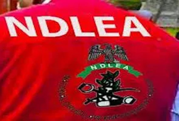 202509NDLEA