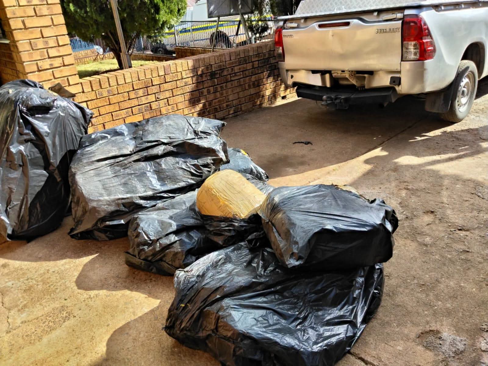 20260644-year-old-arrested-after-Saps-discovers-cannabis-worth-more-than-R500-000-in-Limpopo