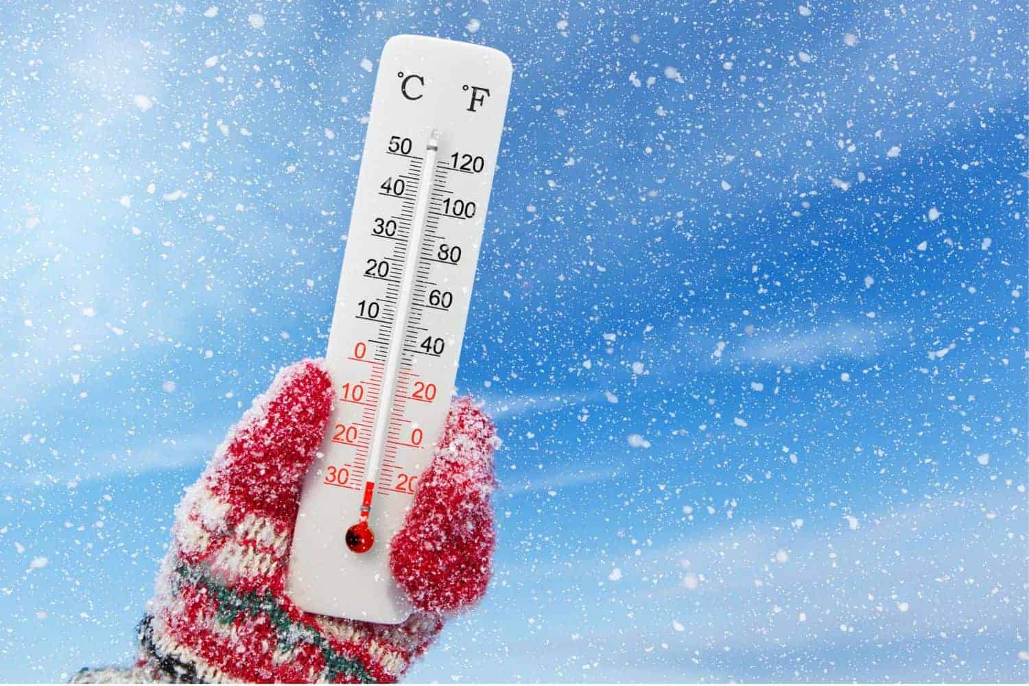 202606Cold-Front