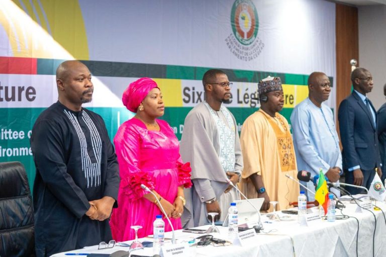 202606ECOWAS-Pushes-Renewable-Energy-Revolution-