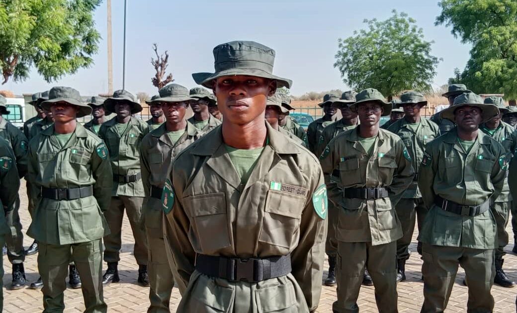 202606Forest-Guards-