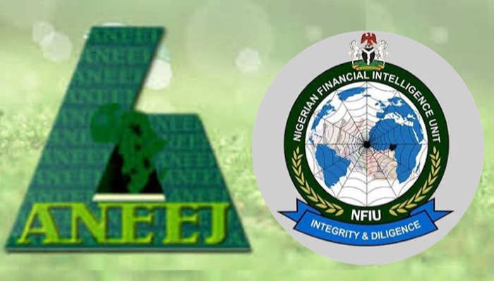 202606Nigeria-Loses-Up-To-17.8bn-Yearly-To-Illicit-Financial-Flows-ANEEJ-Warns