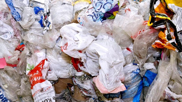 202606Plastic-Reduction-Law-