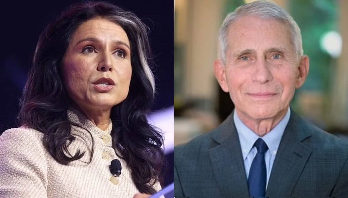 202606Tulsi-Gabbard-Alleges-Anthony-Fauci-Manipulated-Intelligence-On-COVID-Origins-Lied-To-Congress