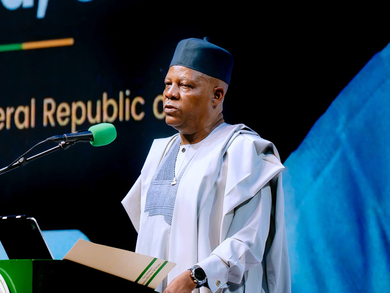 202606kashim-shettima-1