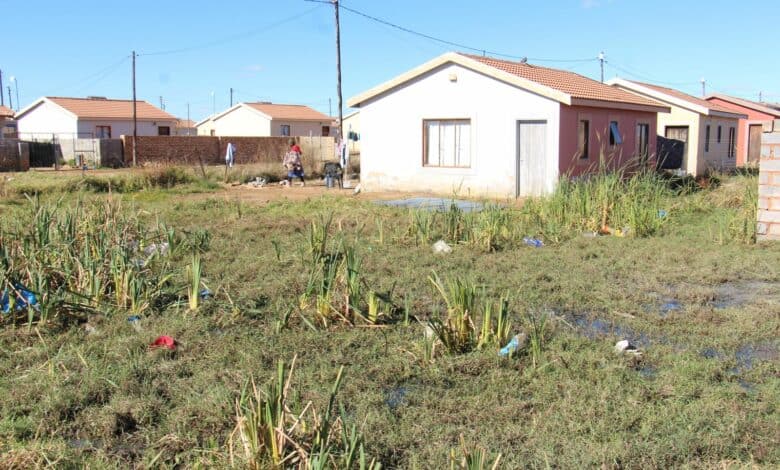 202606sewerage-houses