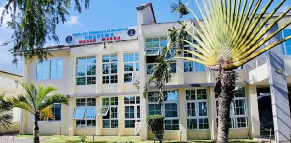 202607Chadema