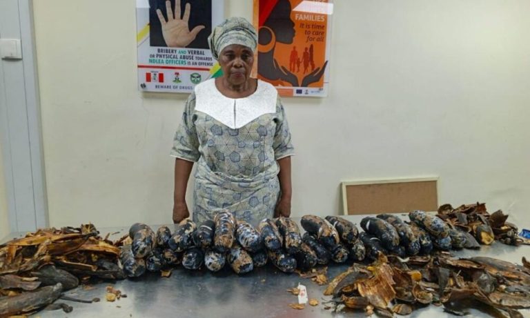 202607NDLEA-Arrests-Grandma-PhD-Student