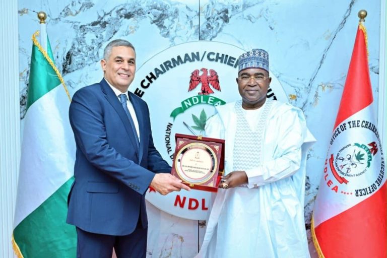 202607Nigeria-Egypt-Move-to-Deepen-Anti-Drug-Alliance-