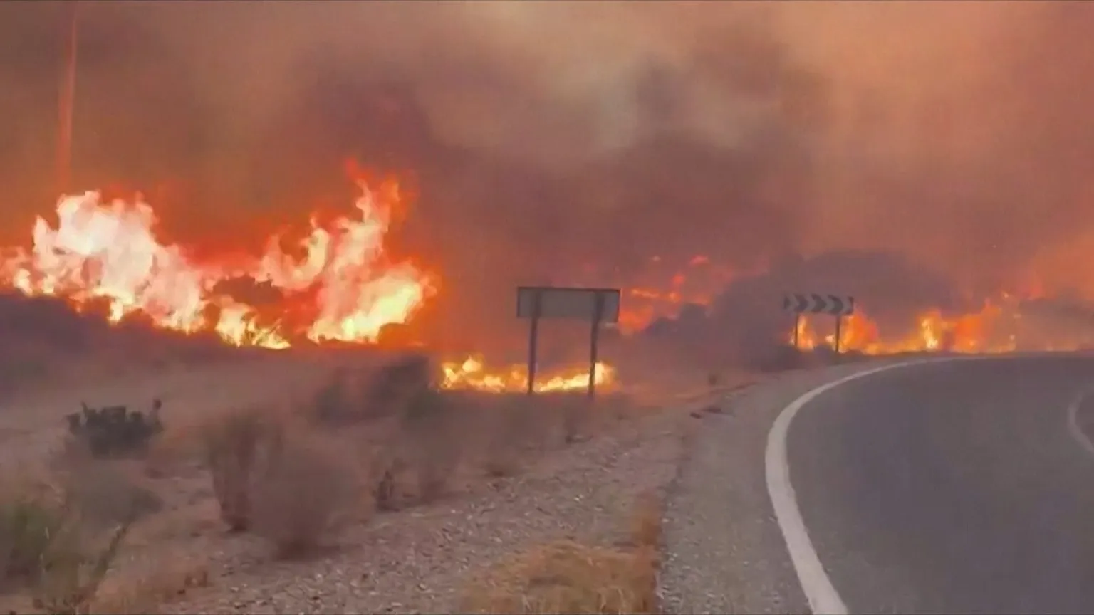 202607Wildfire-Kills-