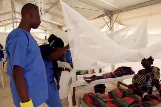 Borno-cholera-outbreak
