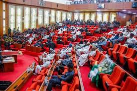Nigerian-senate-2-1