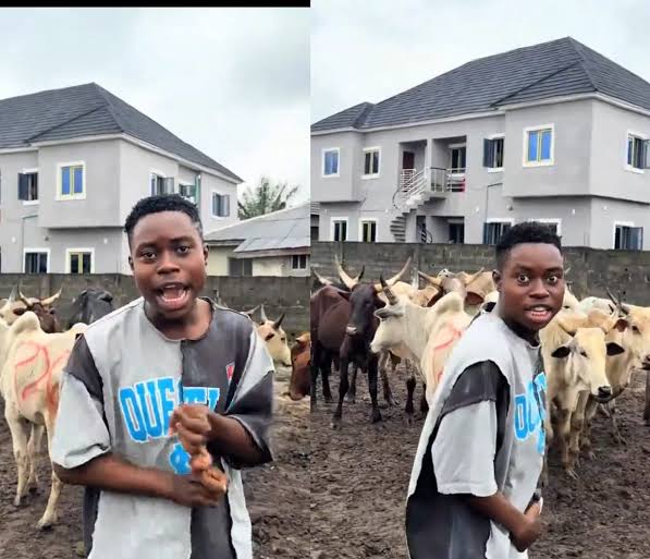 PELLER-COWS