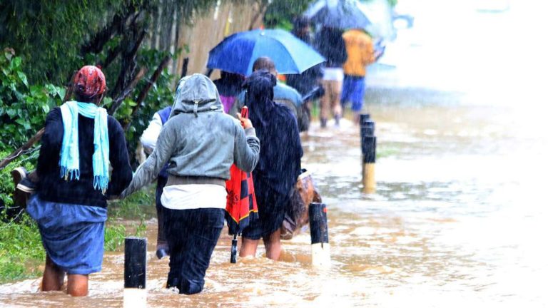 202308Rain-floods-1320x743-1