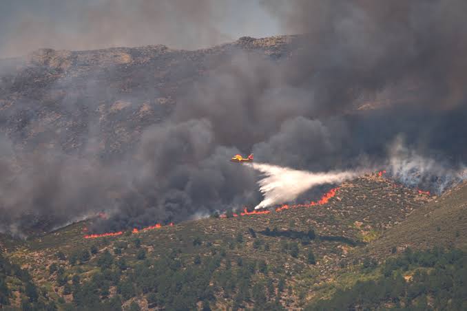 202607Wildfires-
