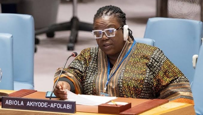 202608Dr-Abiola-Akiyode-Afolabi