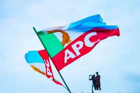 APC-primaries