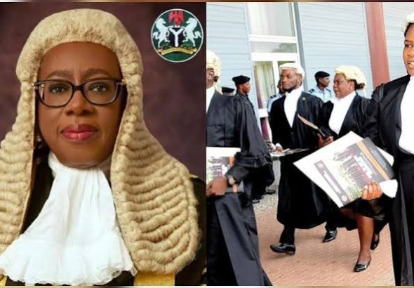 CJN-barrister-title